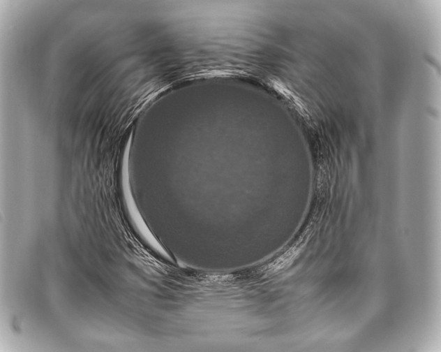 X0000098081353200804181148