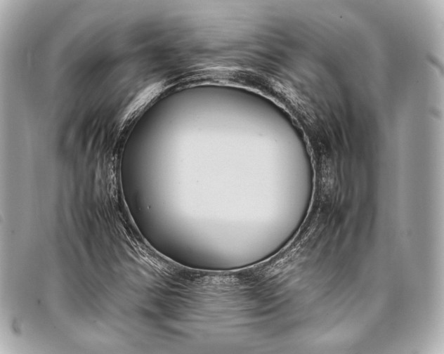 X0000098081354200804181148