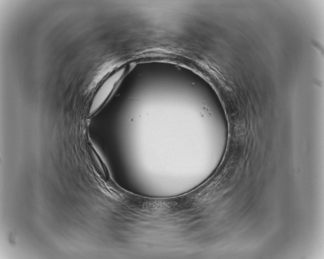 X0000098081355200804181148