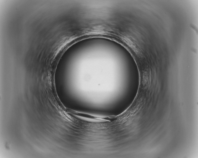 X0000098081356200804181148