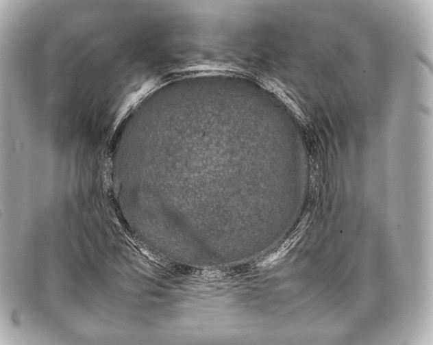 X0000098081357200804181148