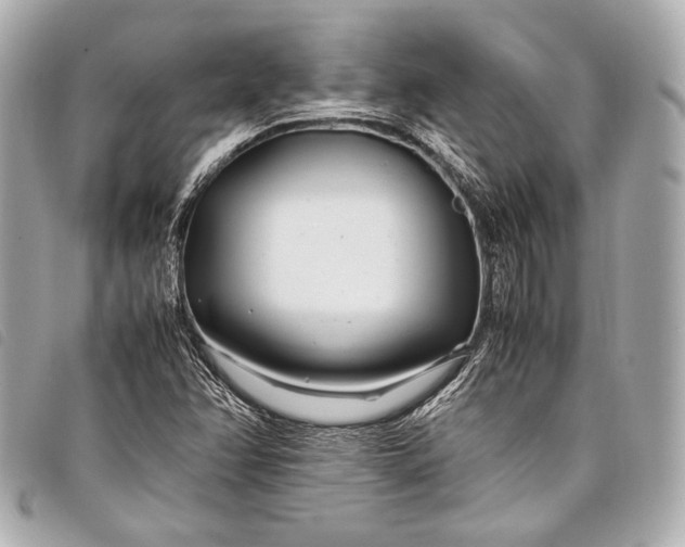 X0000098081358200804181148