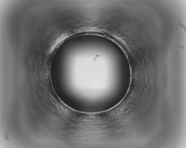 X0000098081359200804181148