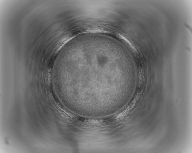 X0000098081361200804181148