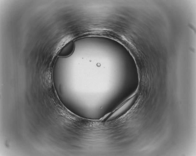 X0000098081362200804181148