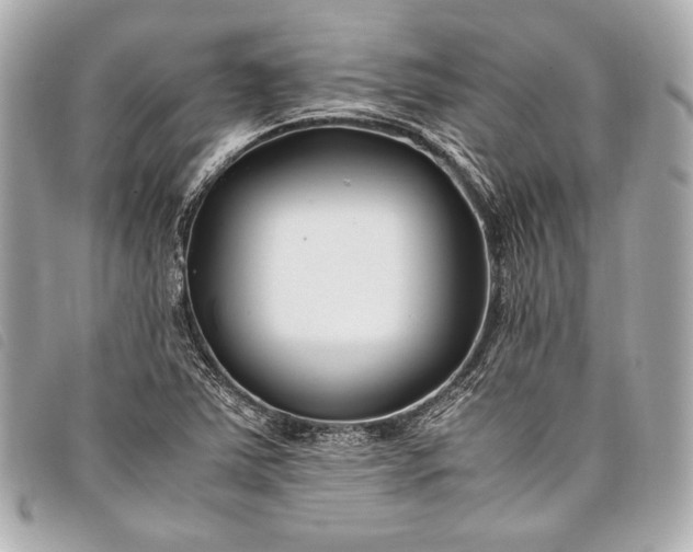 X0000098081363200804181148