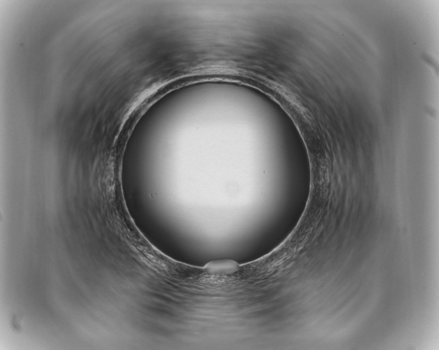 X0000098081364200804181148