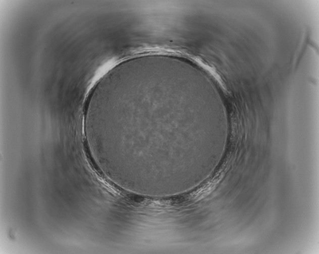 X0000098081365200804181148