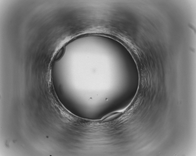 X0000098081366200804181148