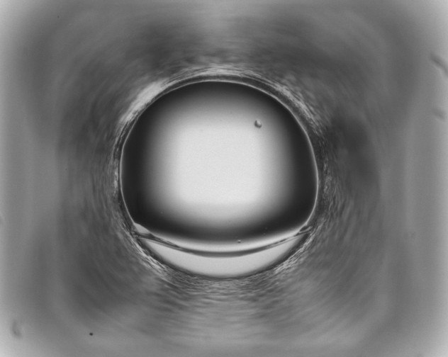 X0000098081367200804181148