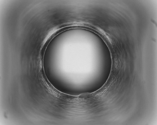 X0000098081368200804181148