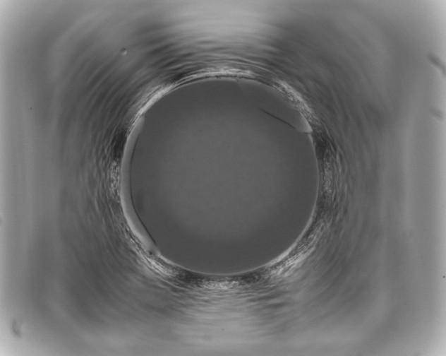 X0000098081369200804181148