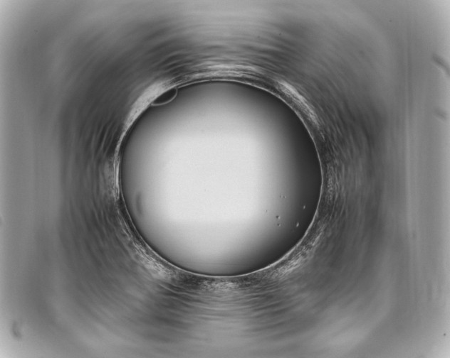 X0000098081370200804181148