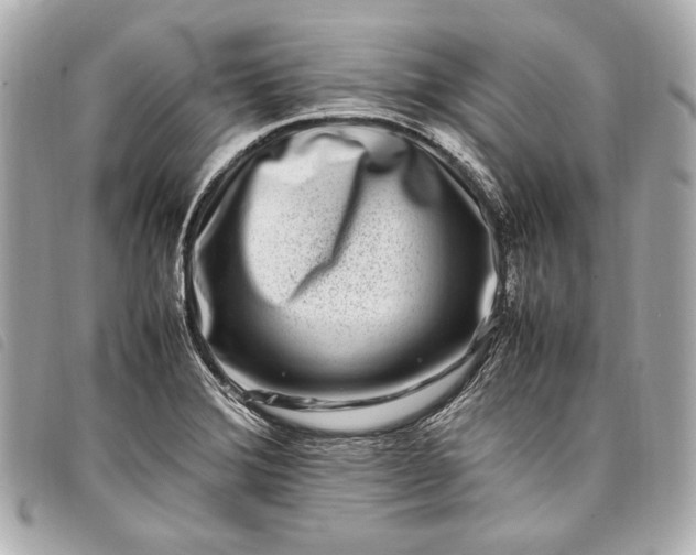 X0000098081372200804181148