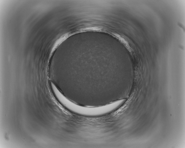 X0000098081373200804181148