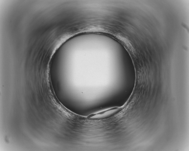 X0000098081374200804181148