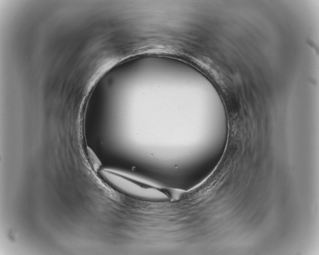 X0000098081375200804181148