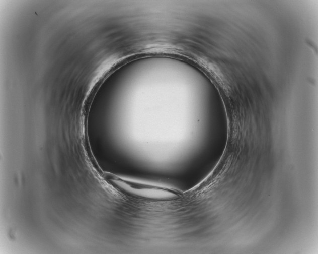 X0000098081376200804181148