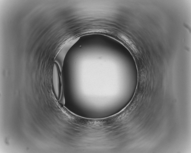 X0000098081377200804181148