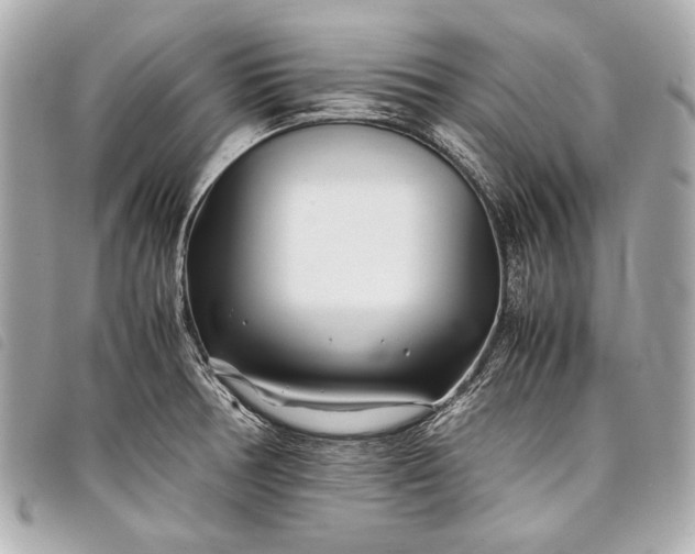 X0000098081378200804181148