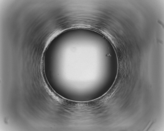 X0000098081379200804181148