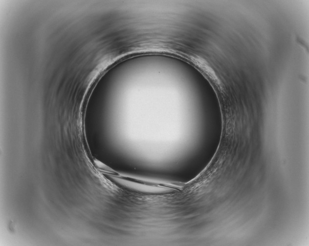 X0000098081380200804181148