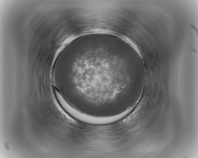 X0000098081381200804181148