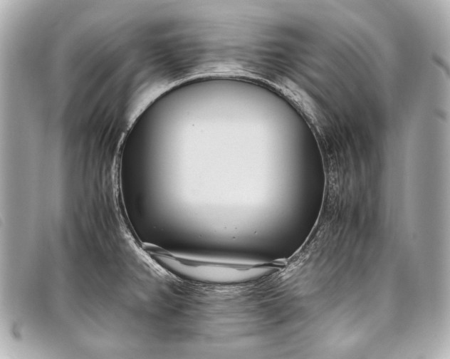 X0000098081382200804181148