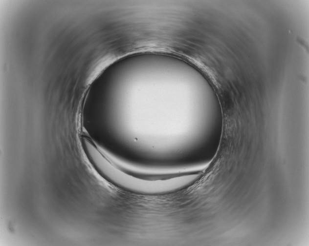 X0000098081383200804181148