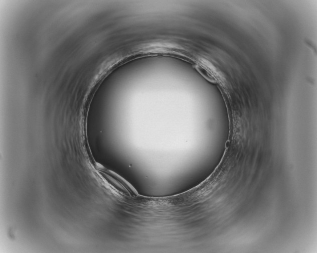 X0000098081384200804181148