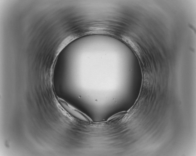 X0000098081386200804181148