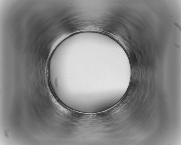 X0000098081387200804181148