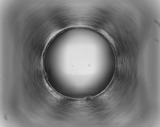 X0000098081388200804181148