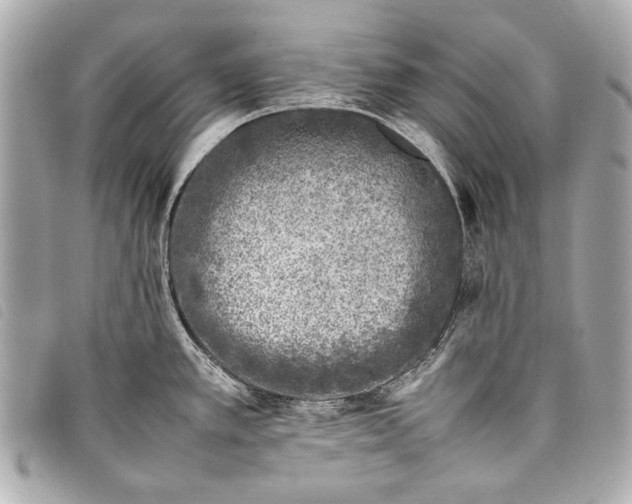 X0000098081389200804181148