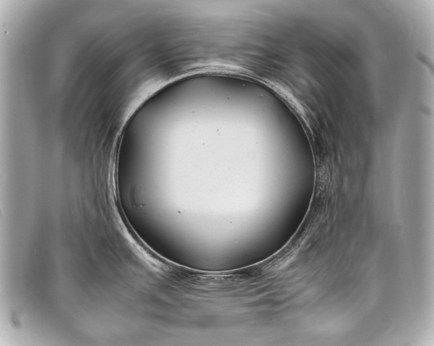 X0000098081391200804181148