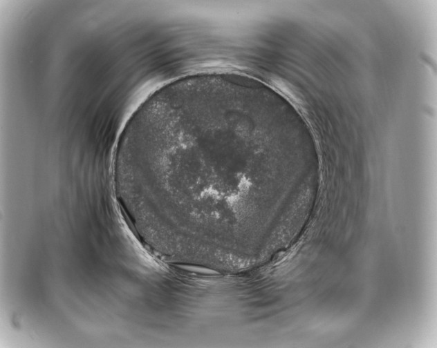 X0000098081392200804181148