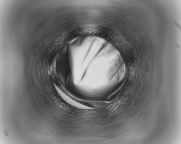 X0000098081394200804181147