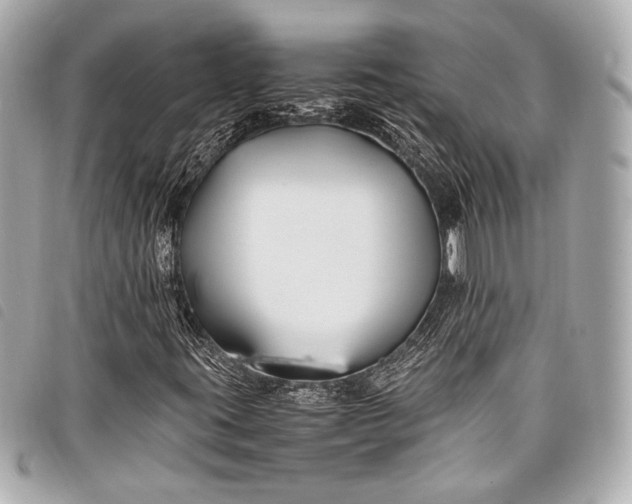 X0000098081395200804181147