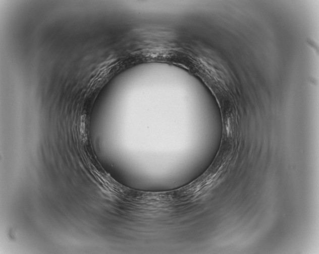 X0000098081396200804181147