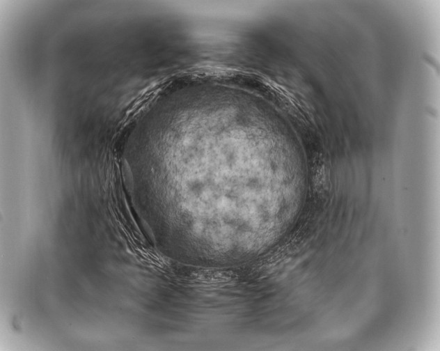 X0000098081397200804181147