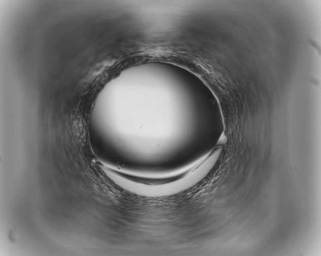 X0000098081398200804181147