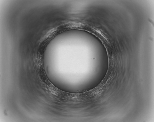 X0000098081399200804181147