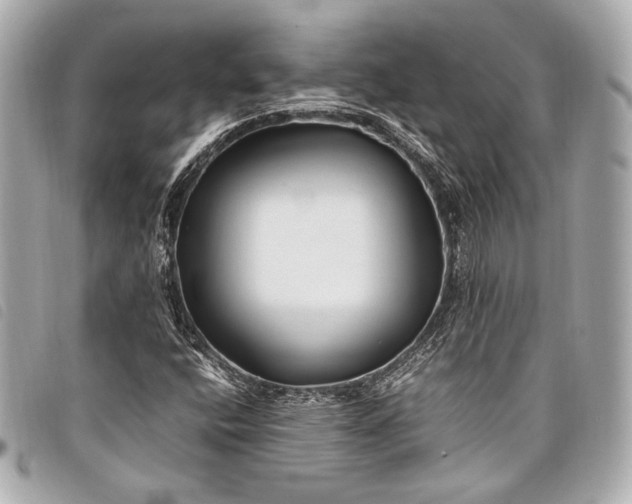 X0000098081400200804181147