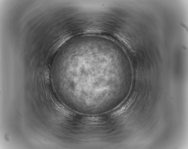 X0000098081401200804181147