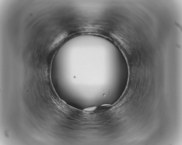 X0000098081403200804181147