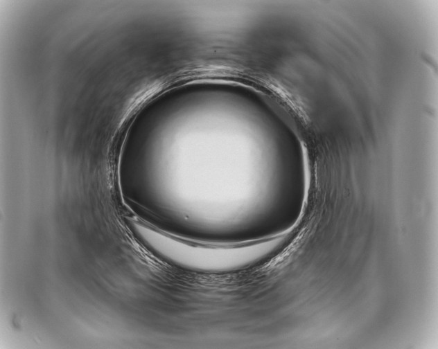 X0000098081405200804181147