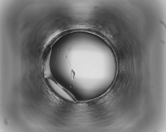 X0000098081406200804181147