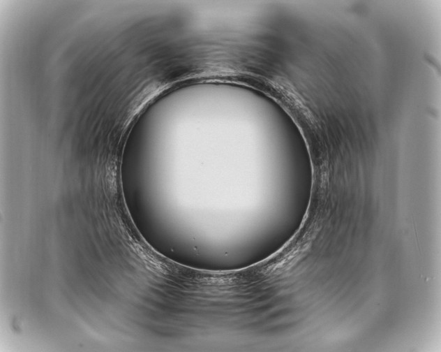 X0000098081409200804181147