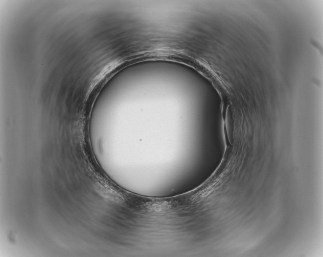 X0000098081410200804181147