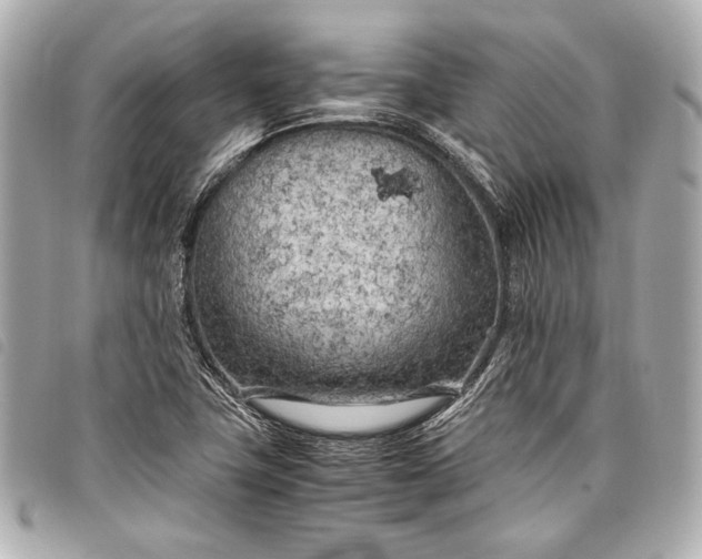 X0000098081411200804181147